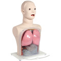 Entrenamiento de enfermería médica Simulador de alimentación nasal y lavado gástrico